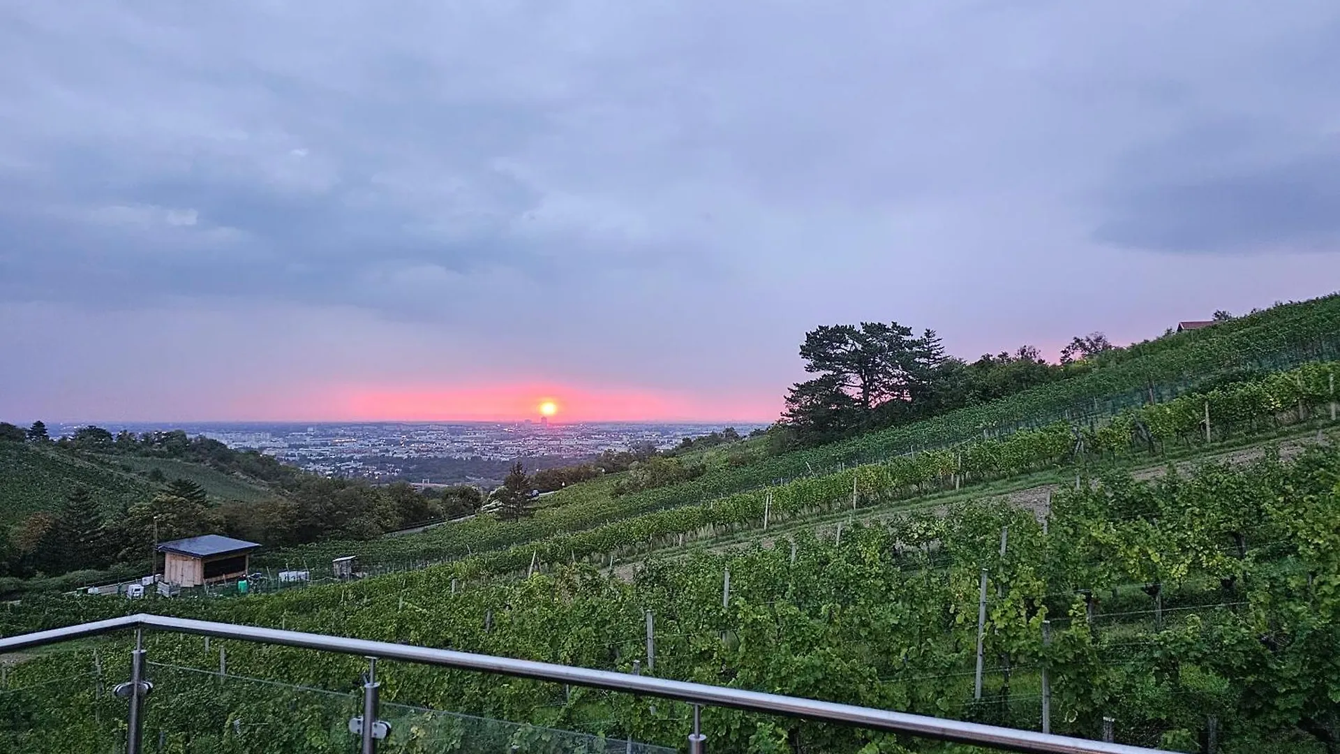 Holiday home Vienna Wine Garden House Villa