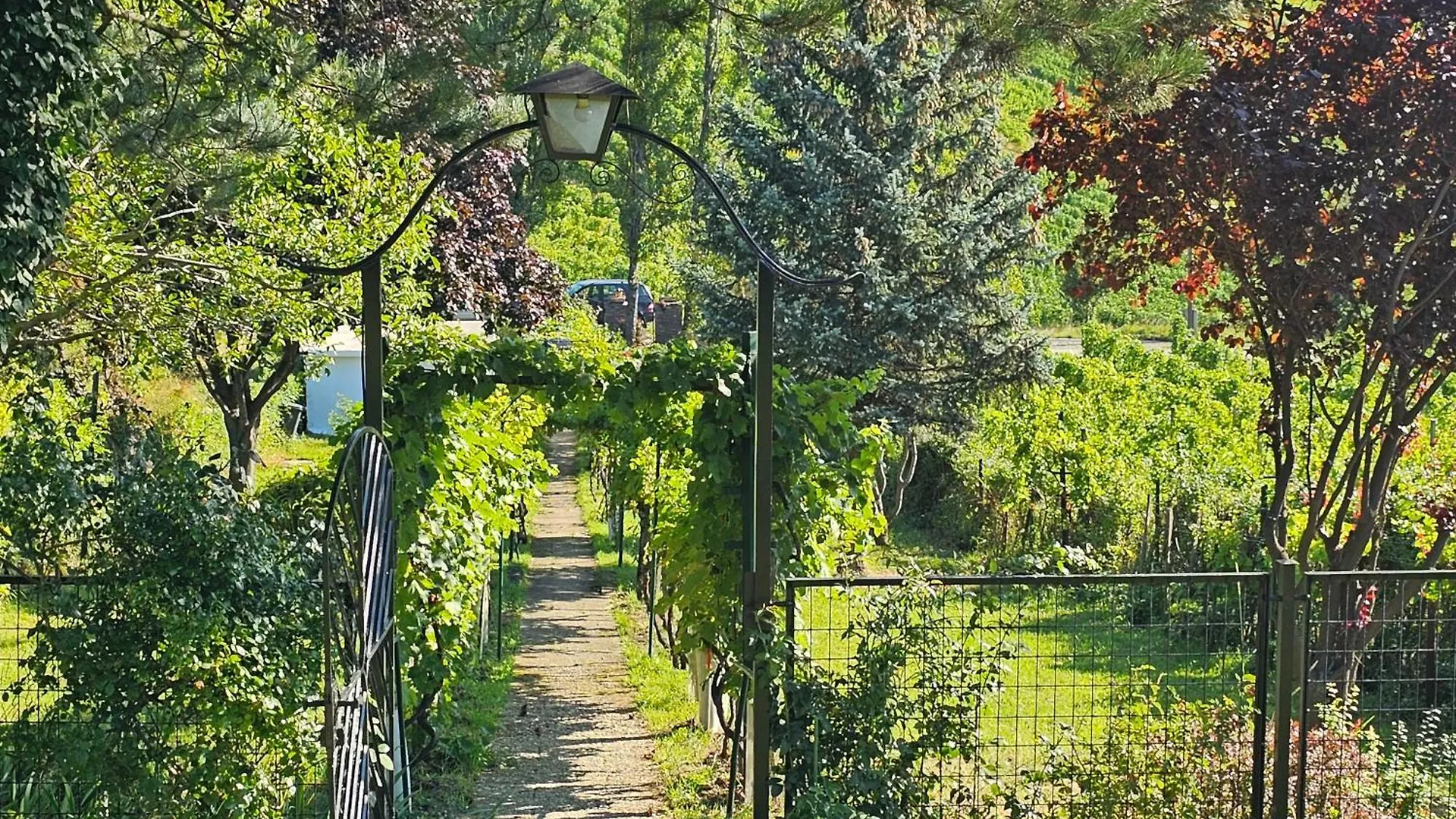 Vienna Wine Garden House Villa Austria