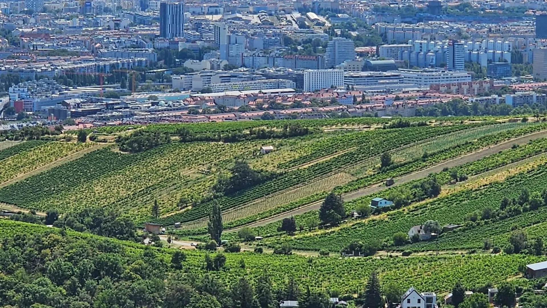 Vienna Wine Garden House Villa Holiday home
