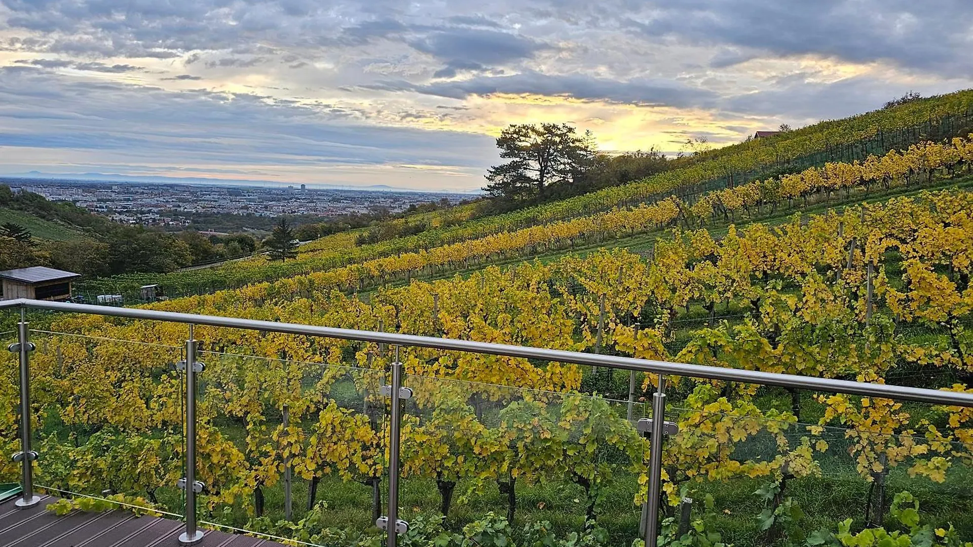 Holiday home Vienna Wine Garden House Villa Austria